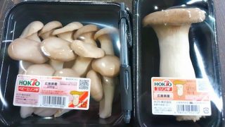 エリンギページ IMG_6280-320x180.jpg