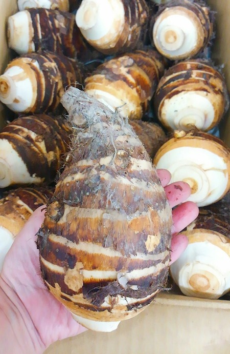 海老芋 徳島産 | 株式会社 新紙浅